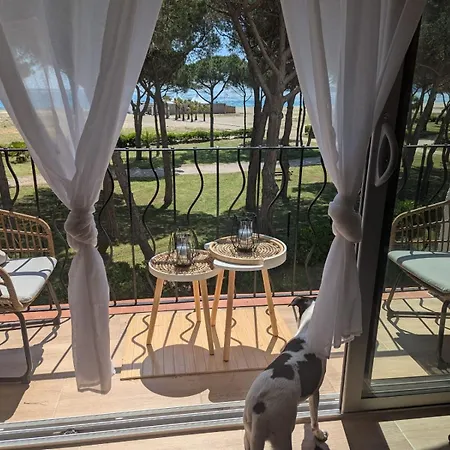 Tresor Littoral, Belle Vue Direct Plage Argeles-sur-Mer Exterior photo