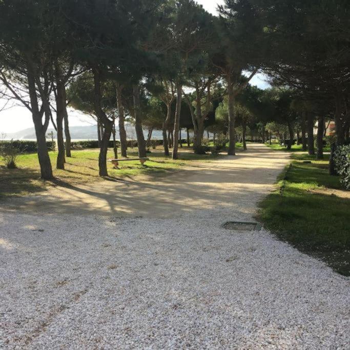 Tresor Littoral, Belle Vue Direct Argelès-sur-Mer